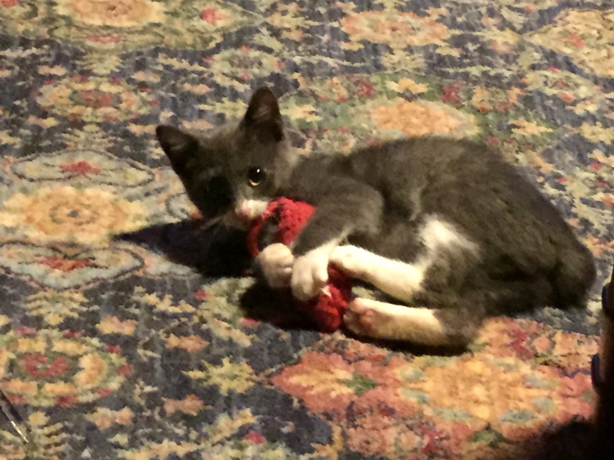 Catnip Mouse Toy