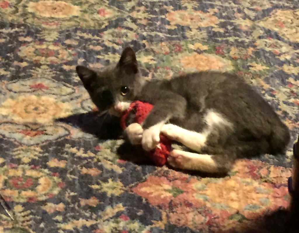 Catnip Mouse Toy