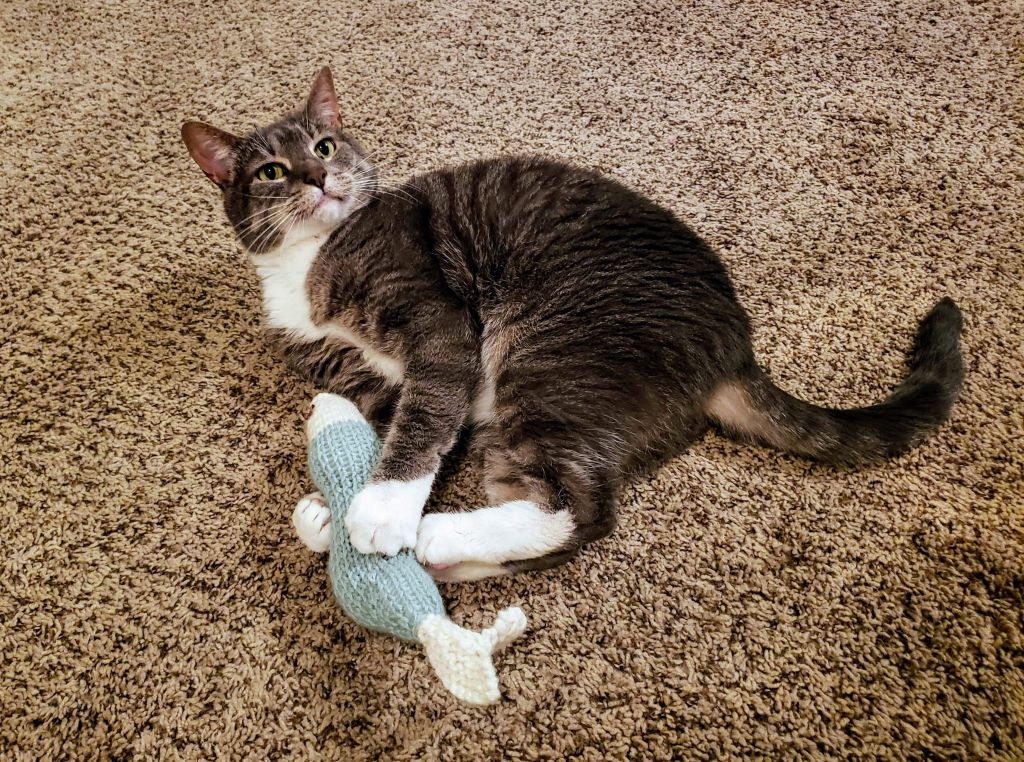 Catnip Fish Toy