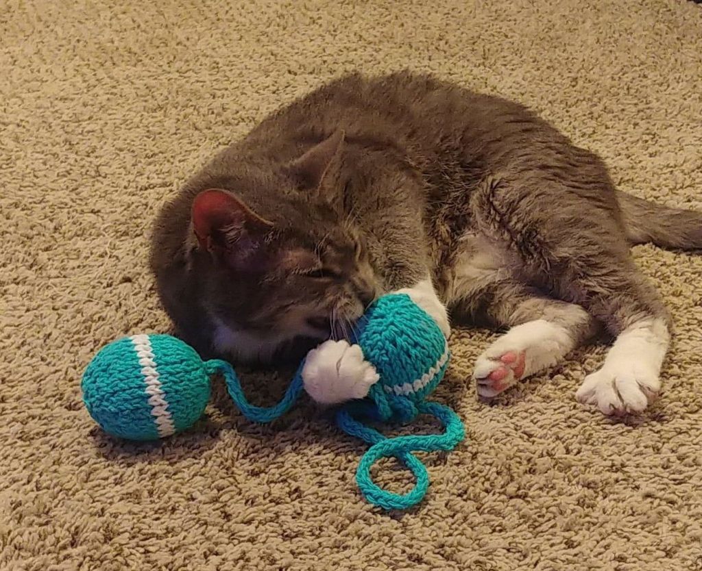 Catnip Ball & String Toy