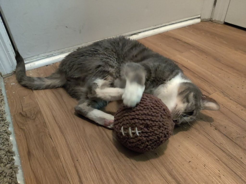 Touchdown!
