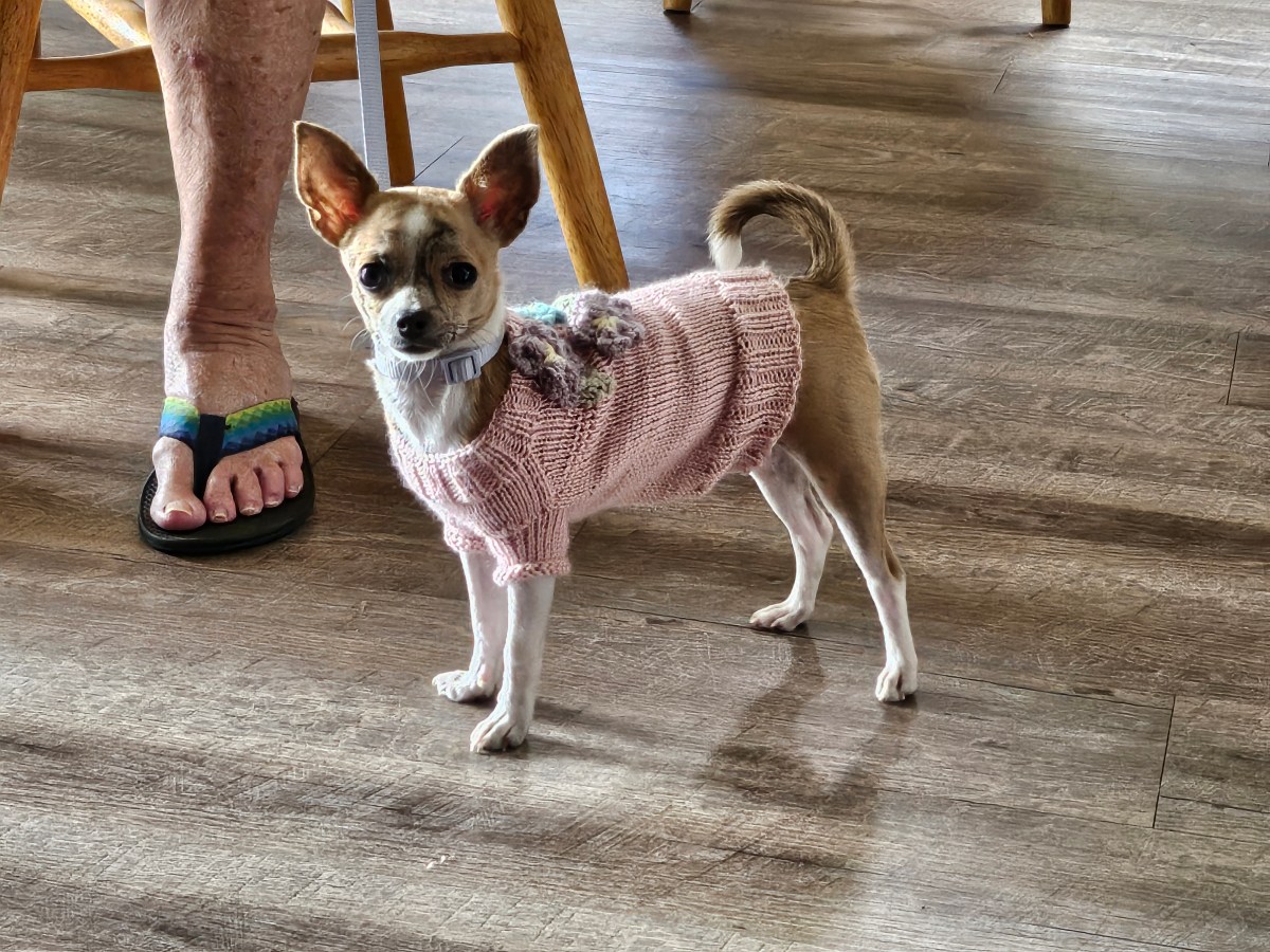 Ellee’s Sweater